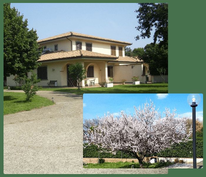 Bed and breakfast La Palanzana