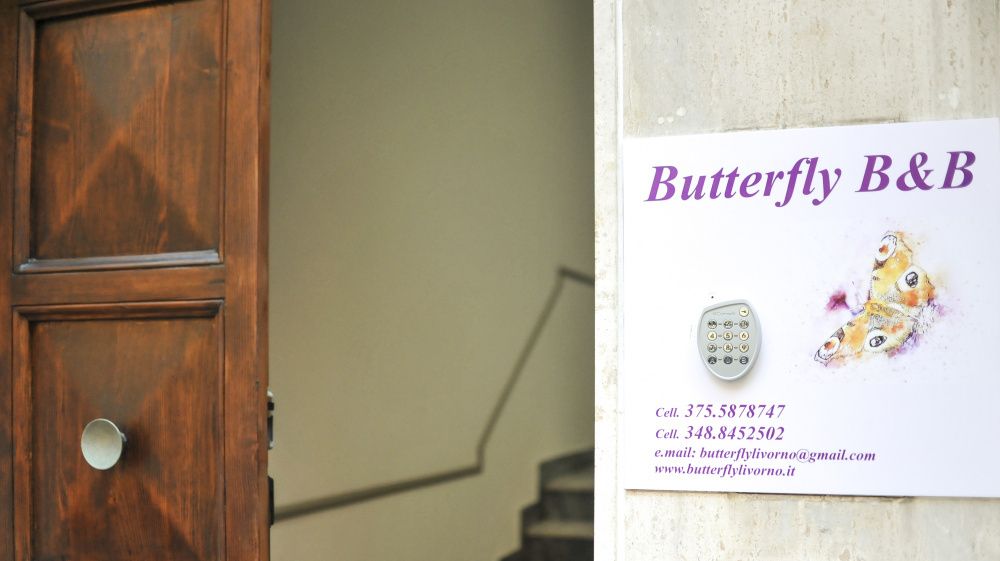 B&B Butterfly