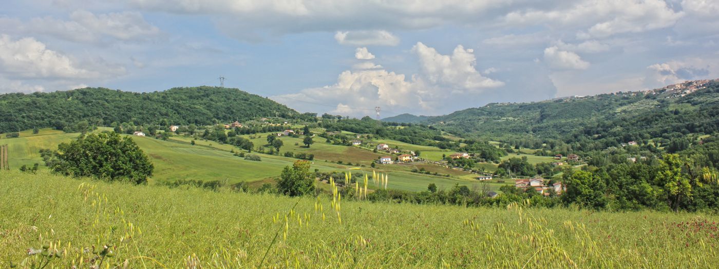 Agriturismo Domus Ansantica