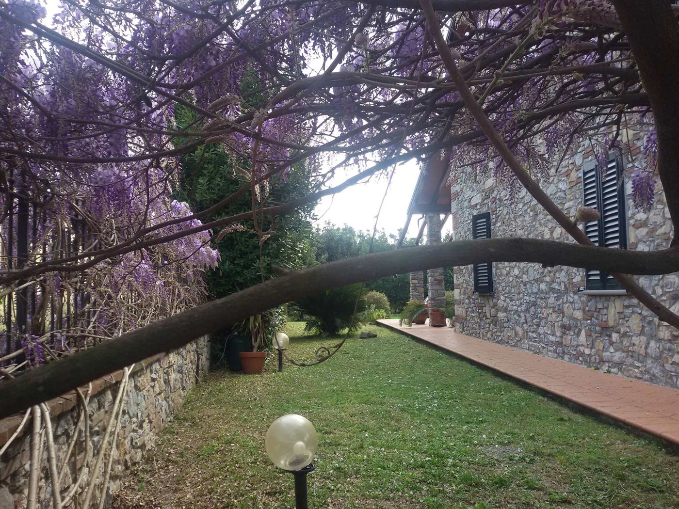 Pietra E Glicine