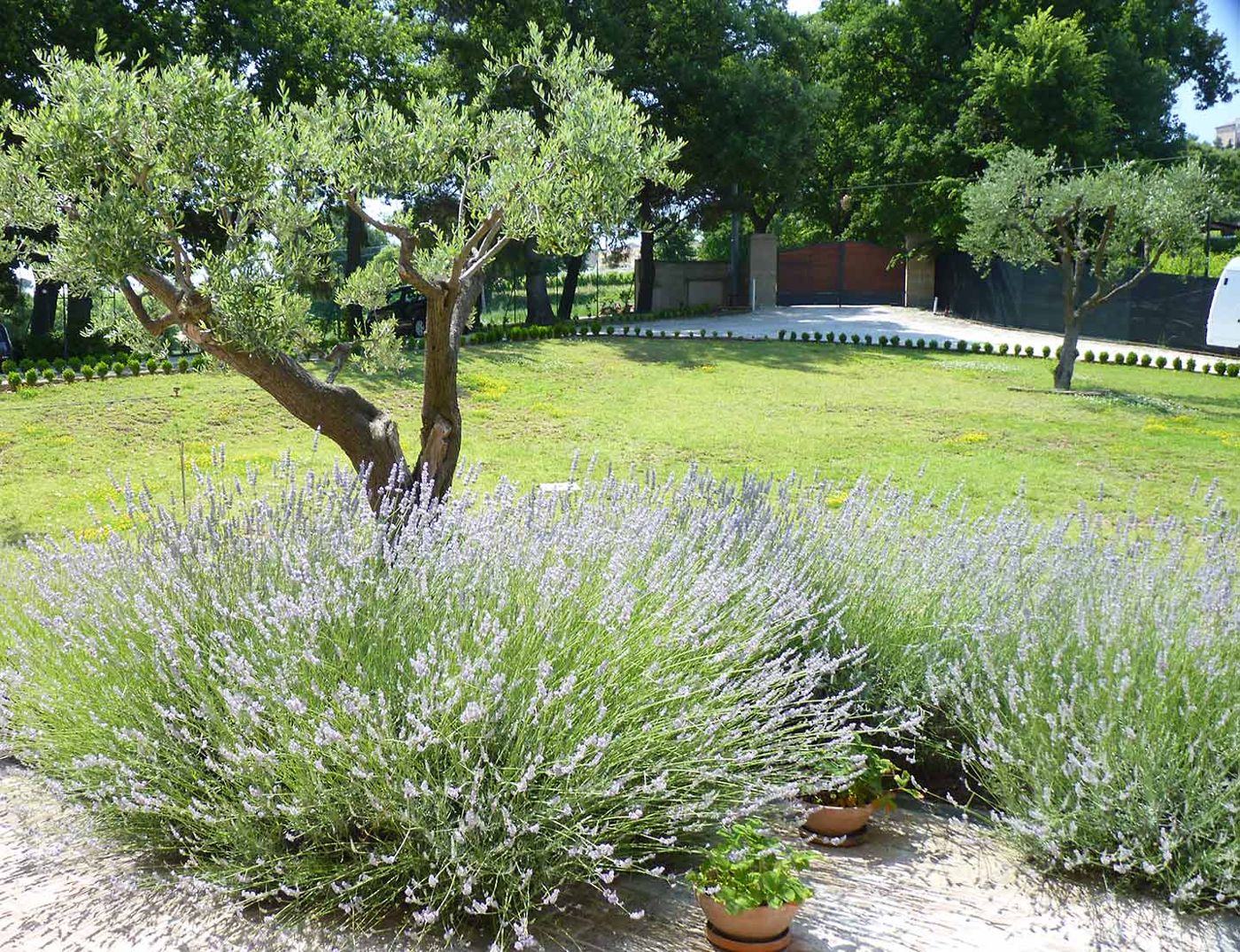 Country House Il Sassone