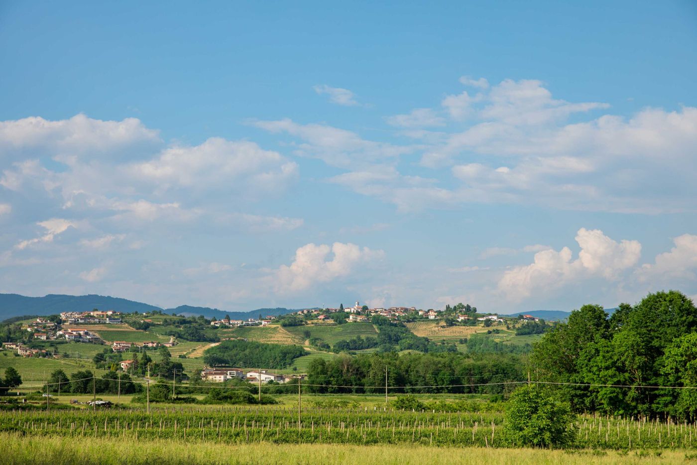 Cruna di Subida Wine Country House
