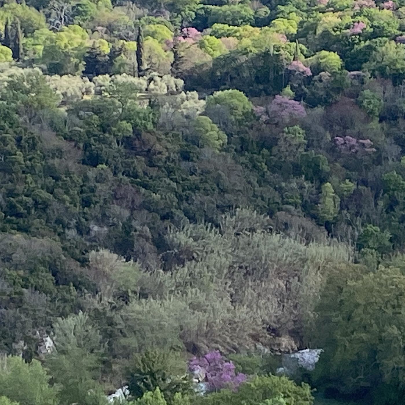 Agriturismo Saturnia Fontenuova