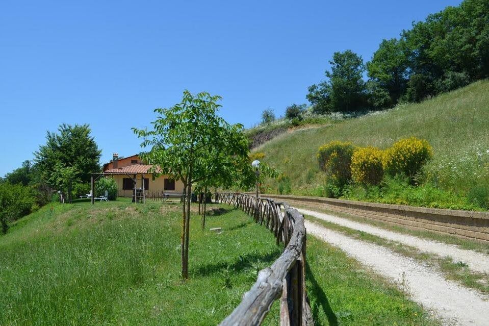 Il Vigneto