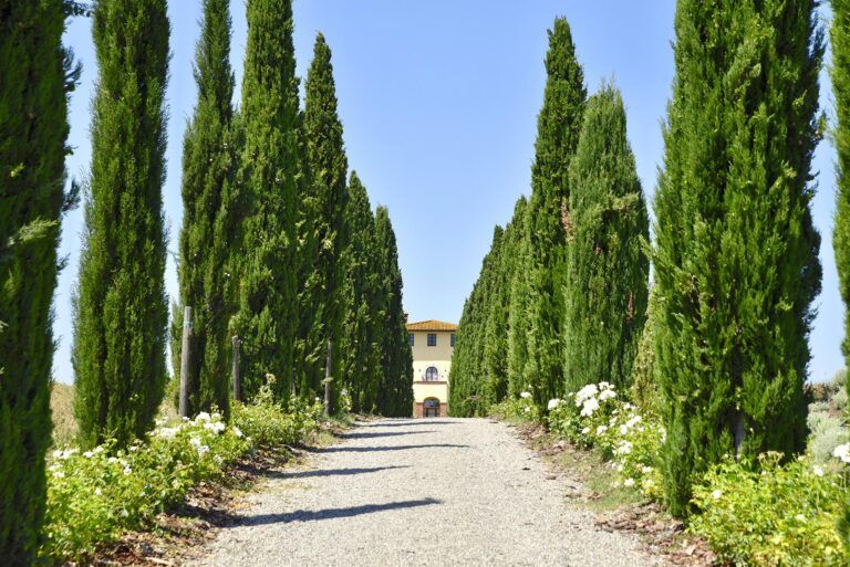 Casale Podernovo