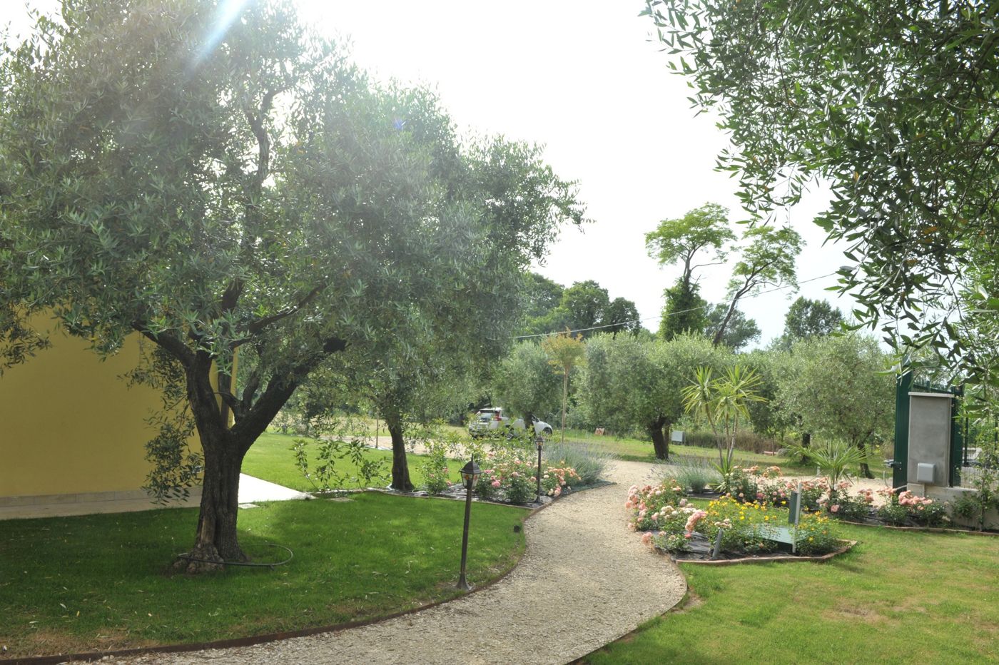 Paradiso degli Ulivi B&B