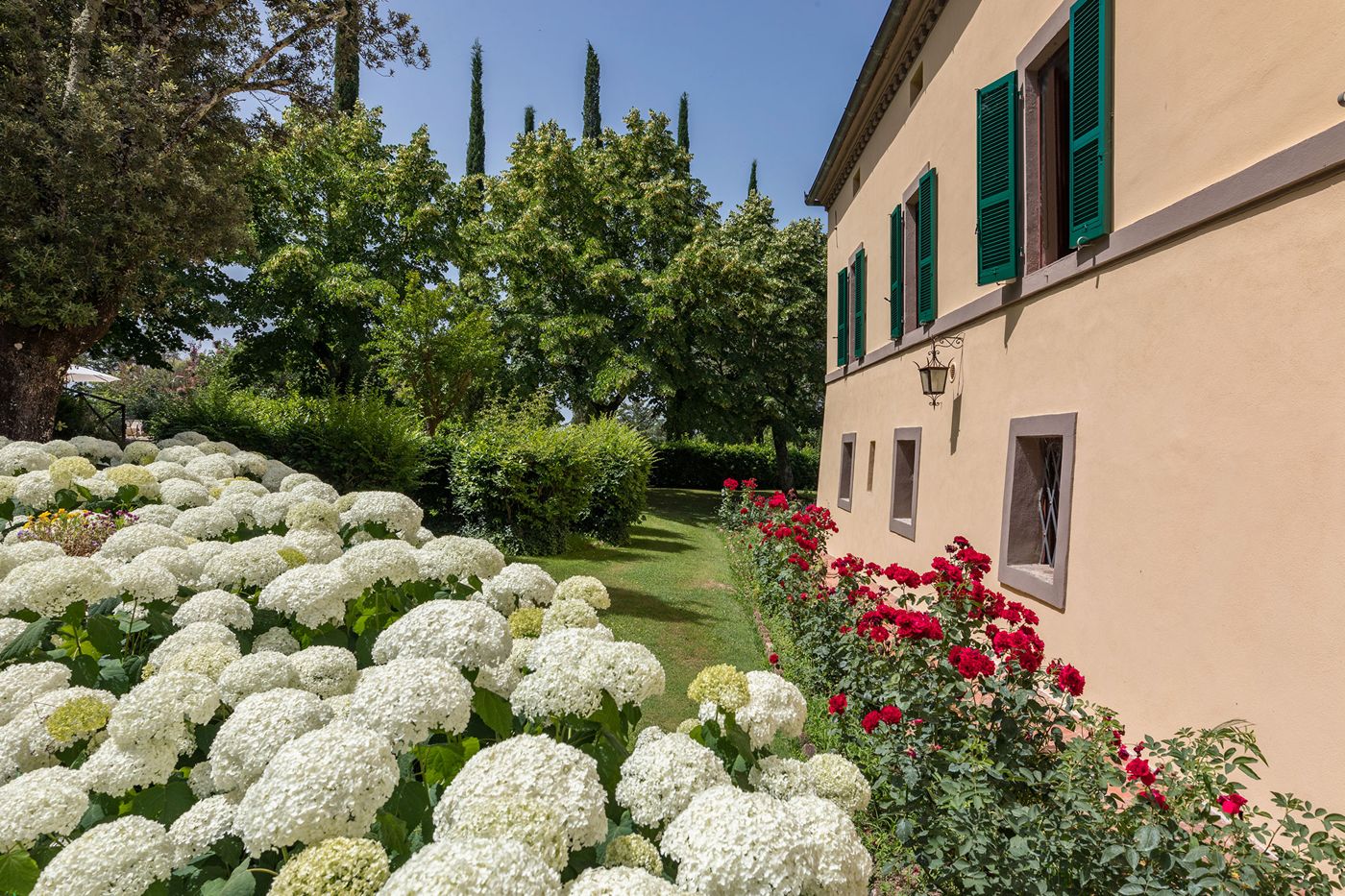 Tenuta La Campana - Asciano