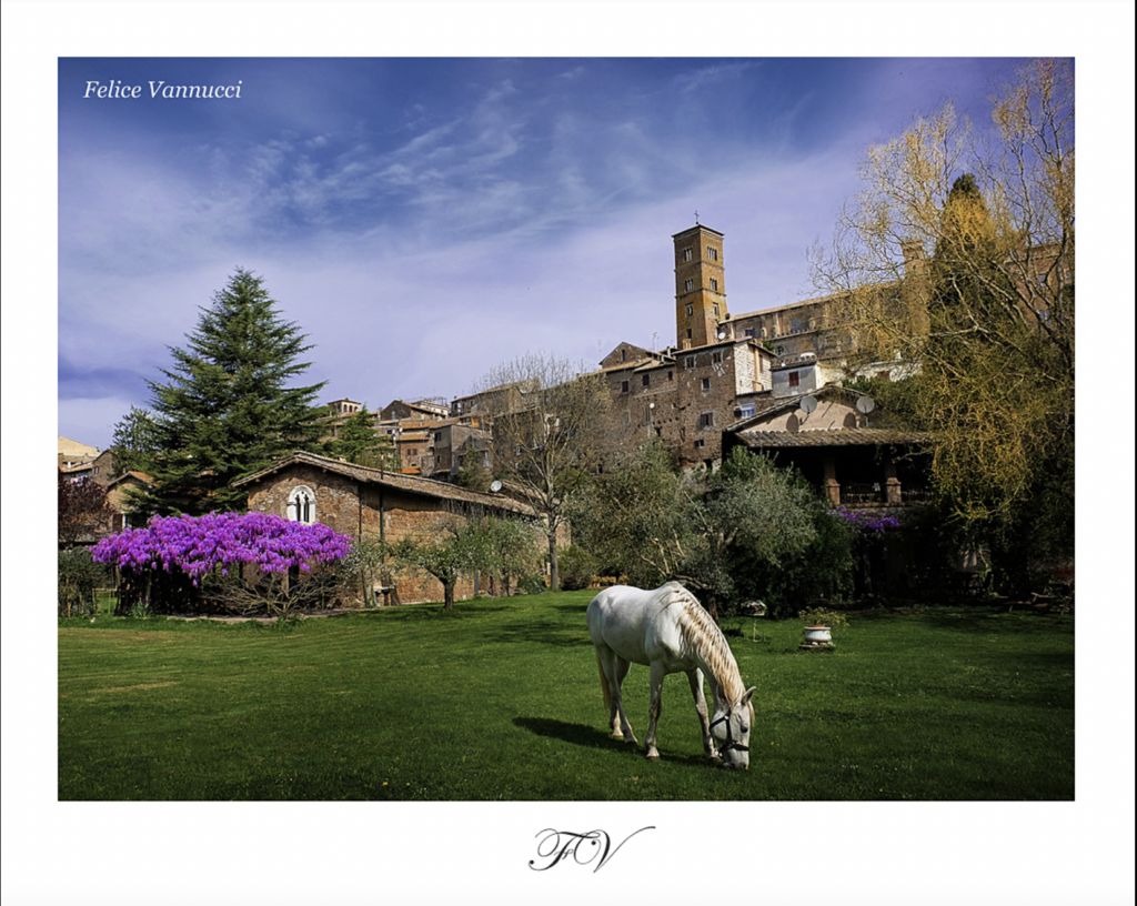 B&B Etruscan Garden