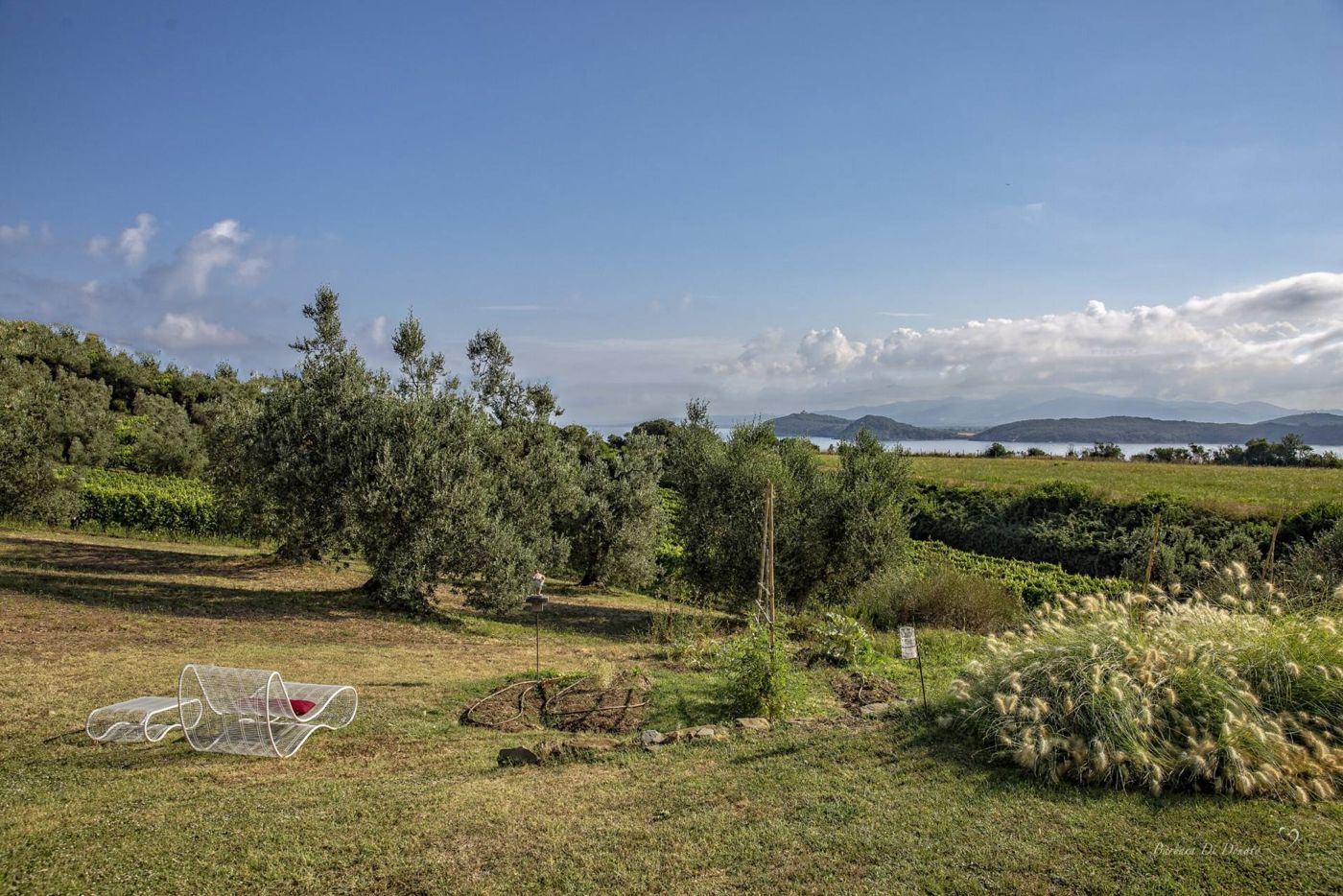 Torre di Baratti Bio Resort