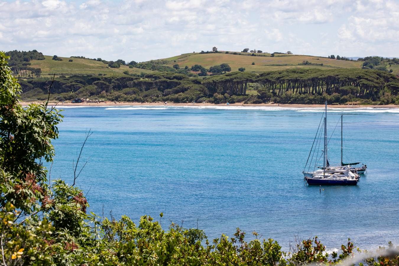 Torre di Baratti Bio Resort