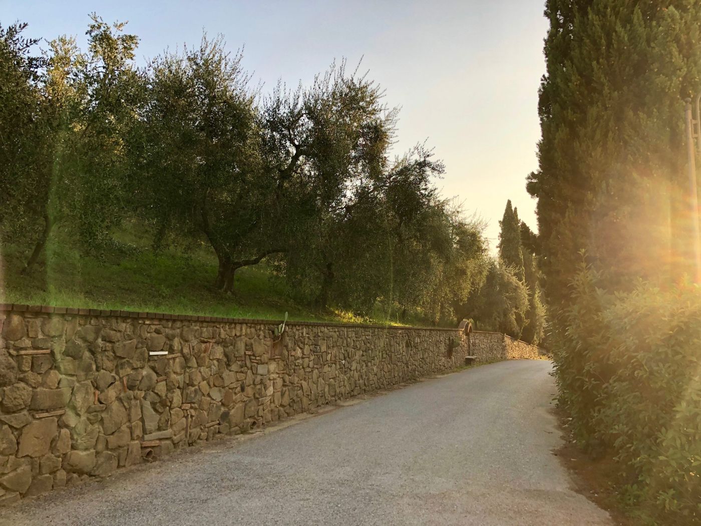 Il Piastrino Vinci Hotel Vibac