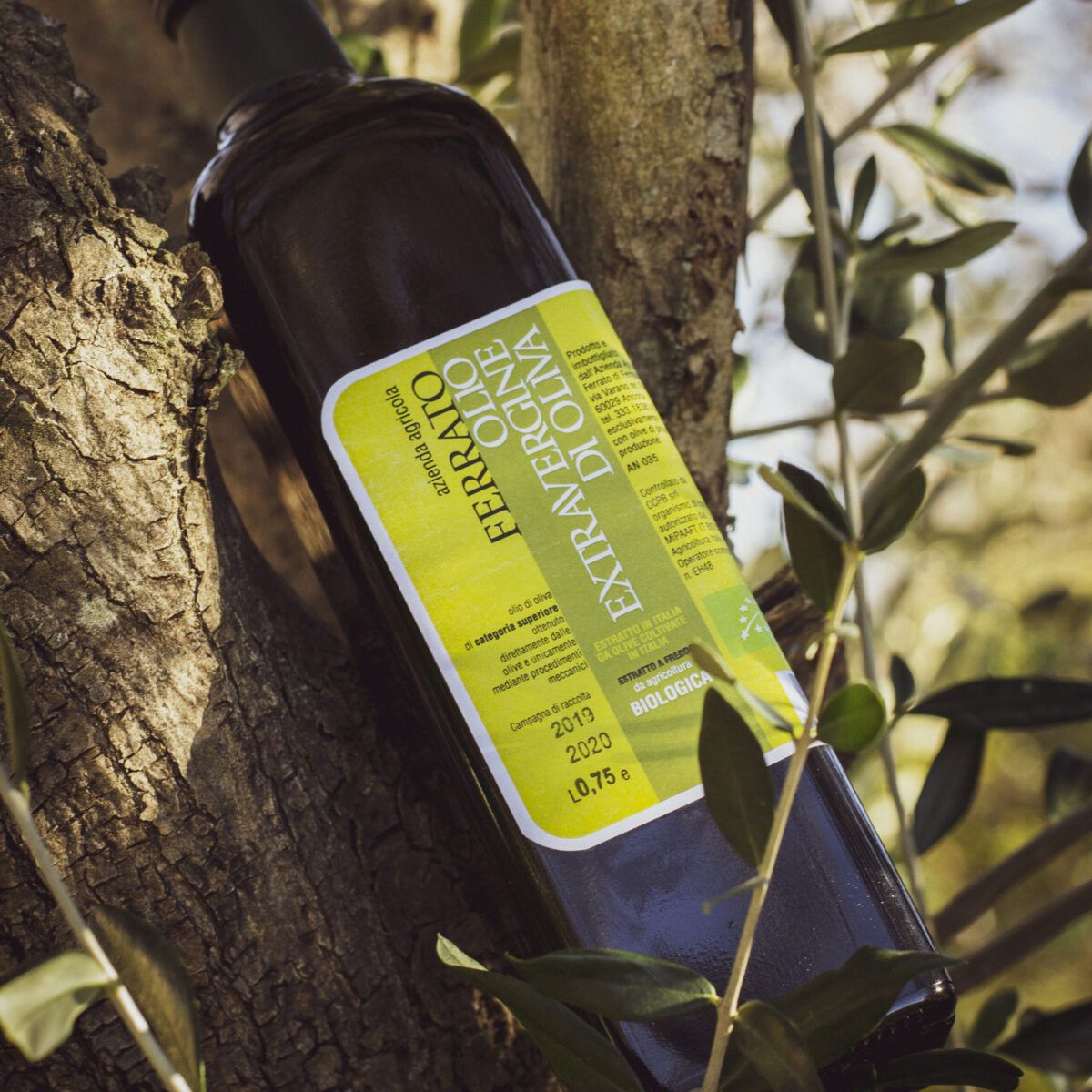 Il Mandorlo - Agriturismo e Azienda Agricola Ferrato