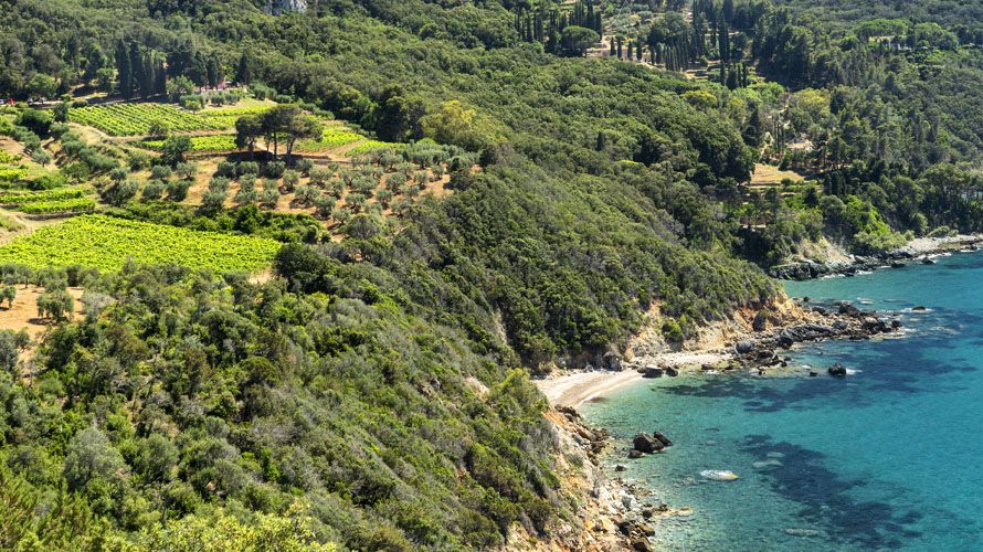 Tenuta Valle Buia