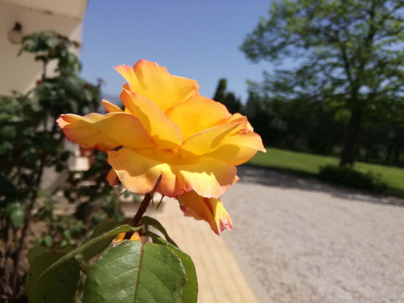 B&B Villa Napoli