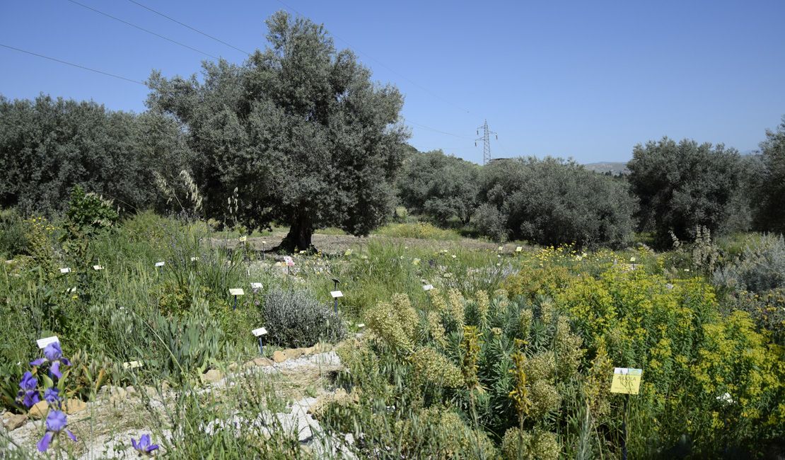 Masseria Santa Barbara - Garden Relais
