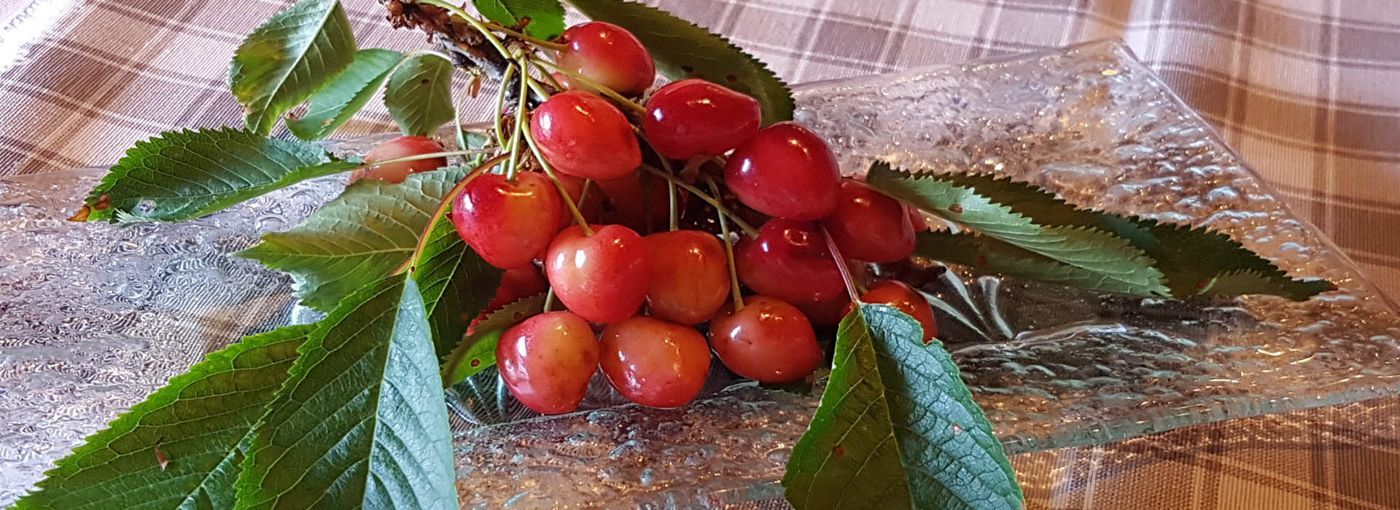Cherry House B&B