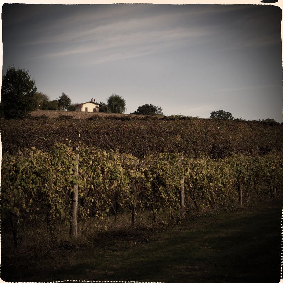 Le Stanze di Bacco