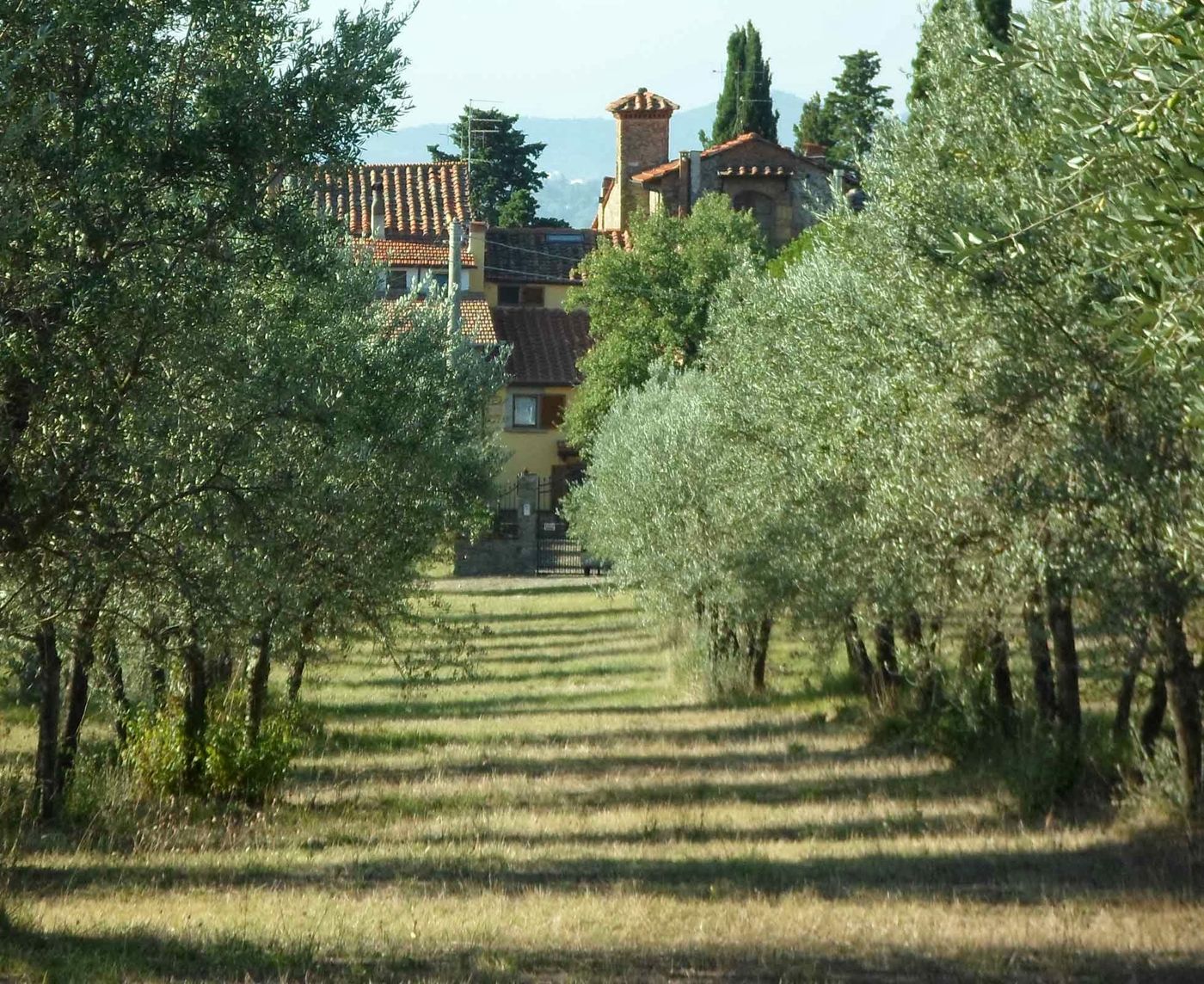I 3 cipressi