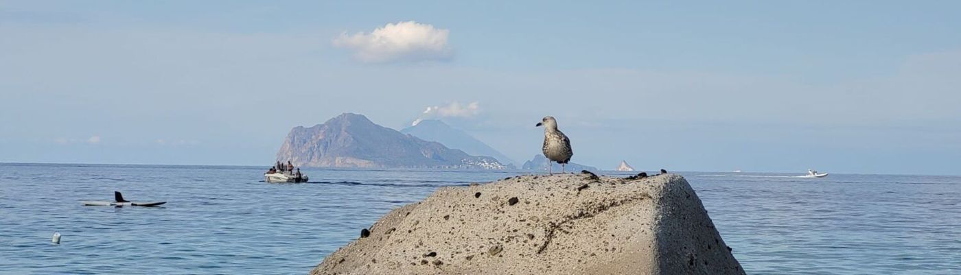 LE Terrazze ISOLE EOLIE Lipari