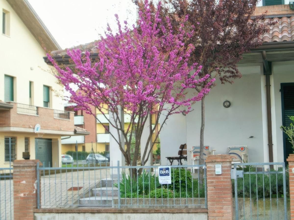 B&B La Salina
