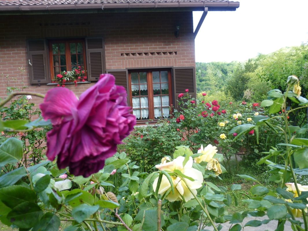 B&B The Roses Garden