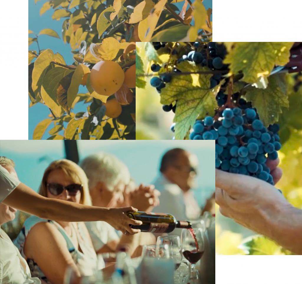 Tenuta San Pietro
