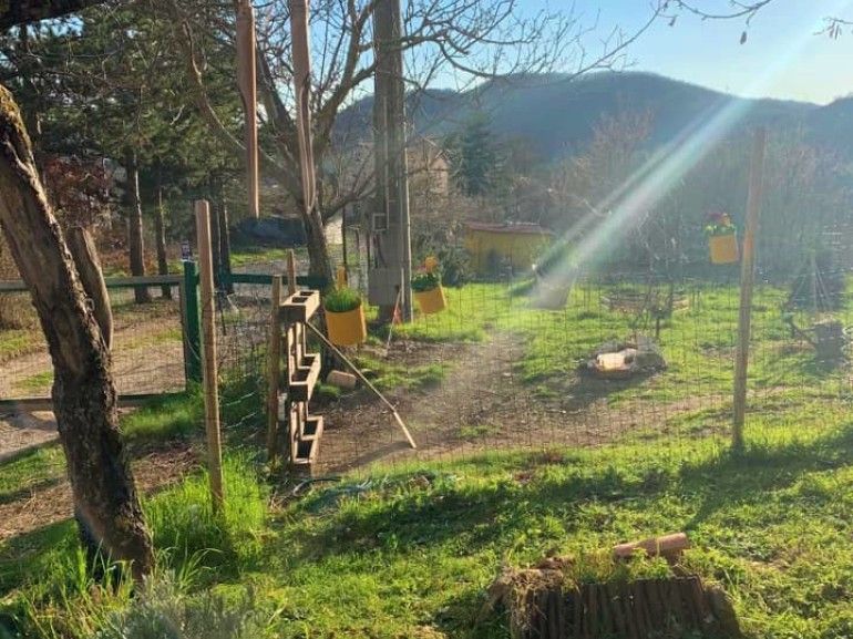 Butterflies Rest, fattoria con animali vicino a Gubbio