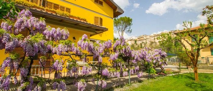 B&B I Narcisi