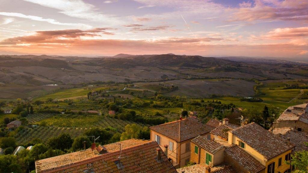 Olive Tree Hill