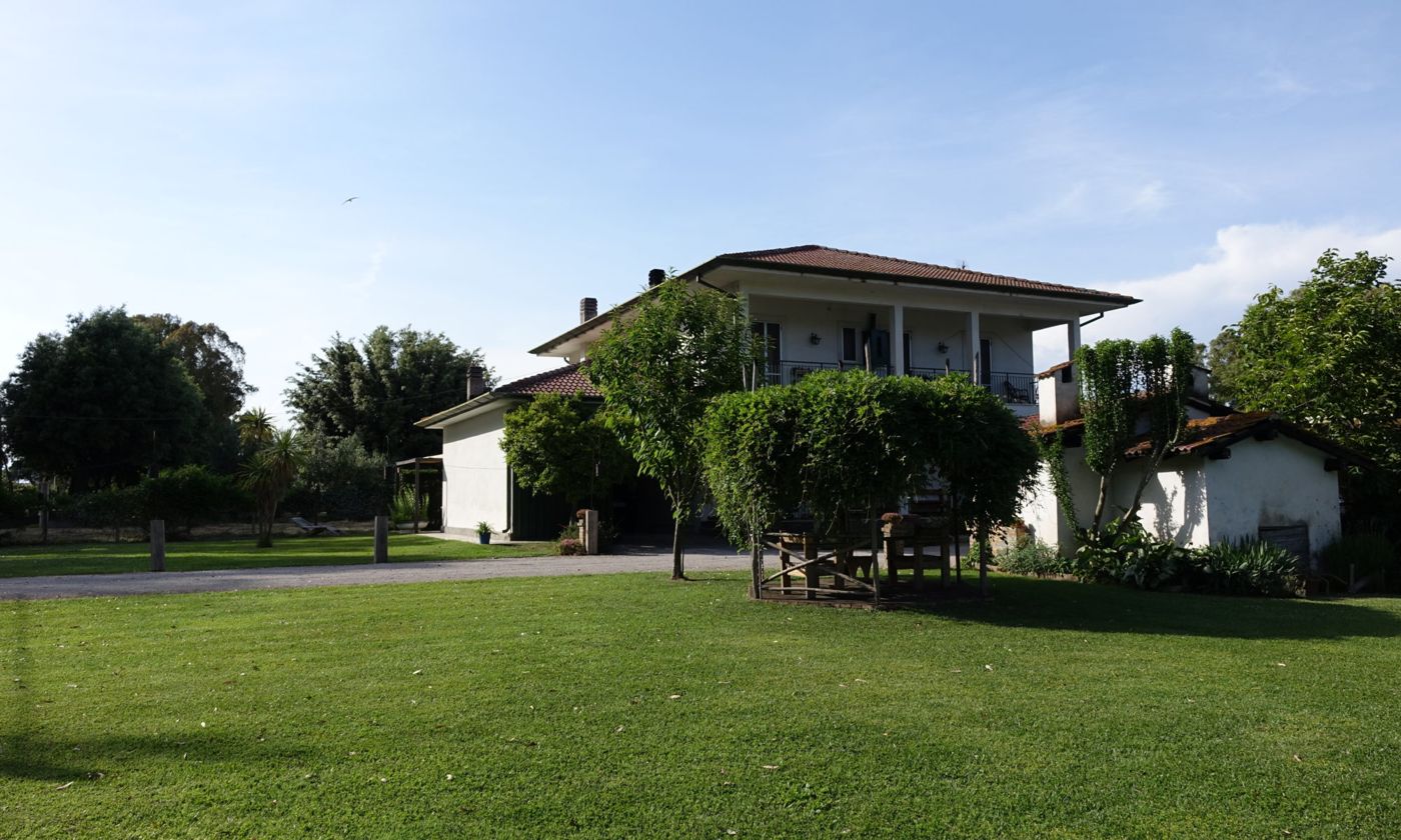 Feudi 1165