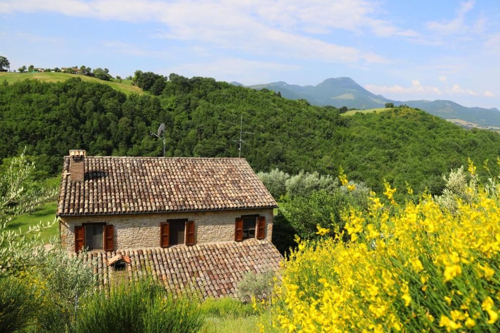 B&B Podere le Serre