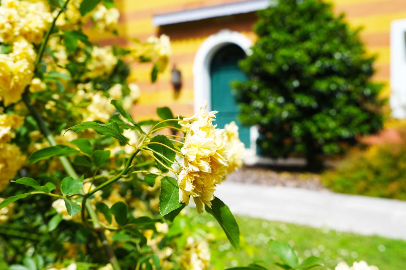 Villa Ca' Damiani