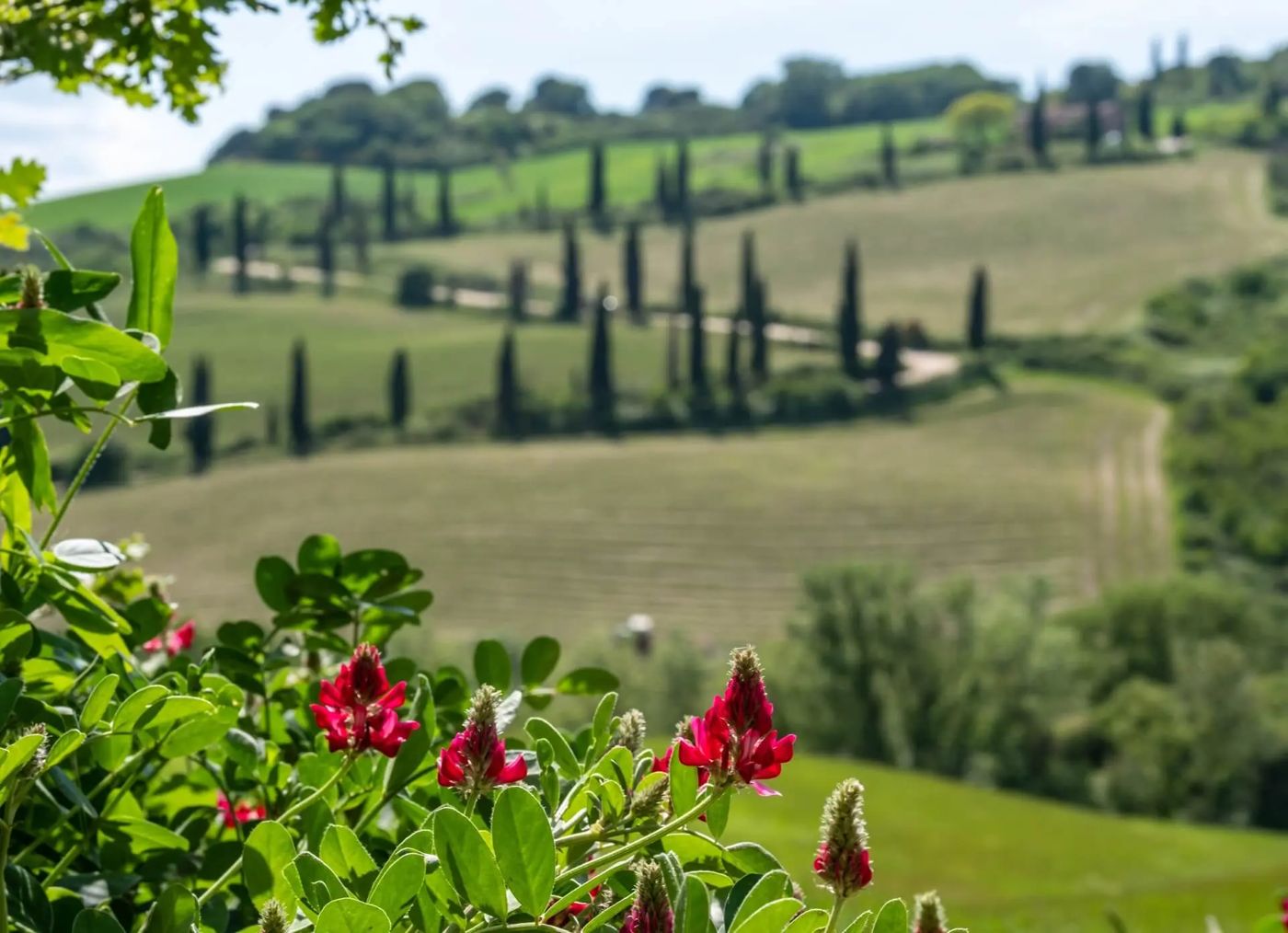 Hotel Villa Ricci
