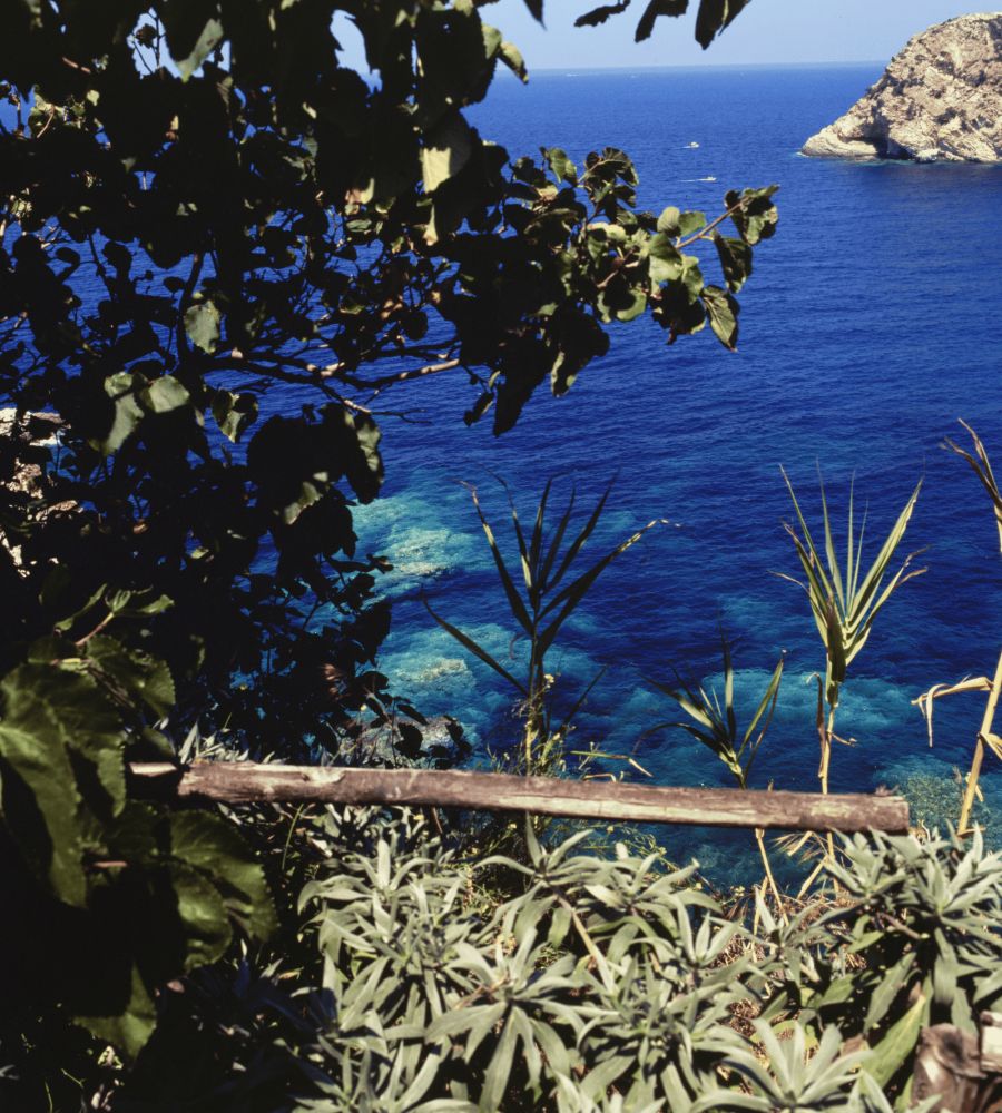 Villa Laetitia