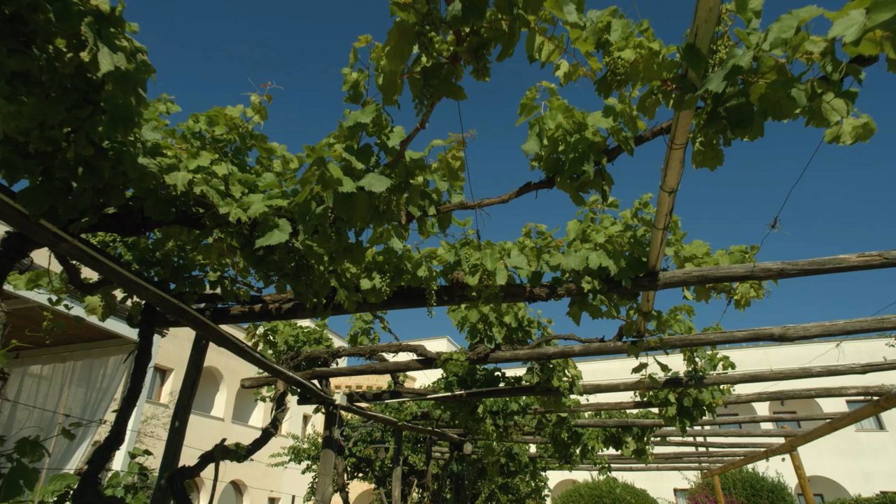 Hotel Montecallini