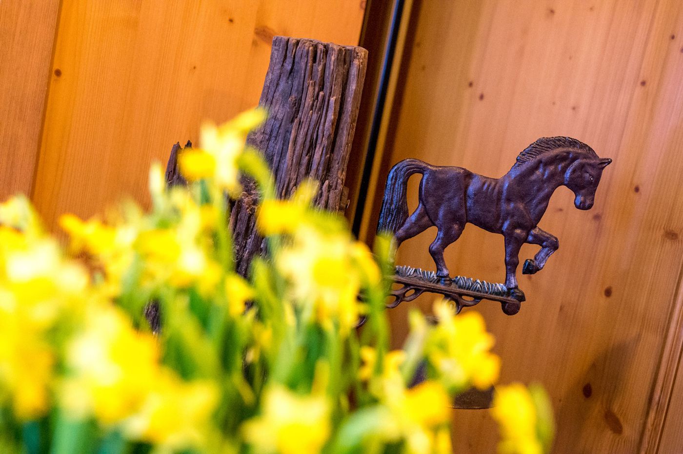 Albergo Alpino Al Cavalletto