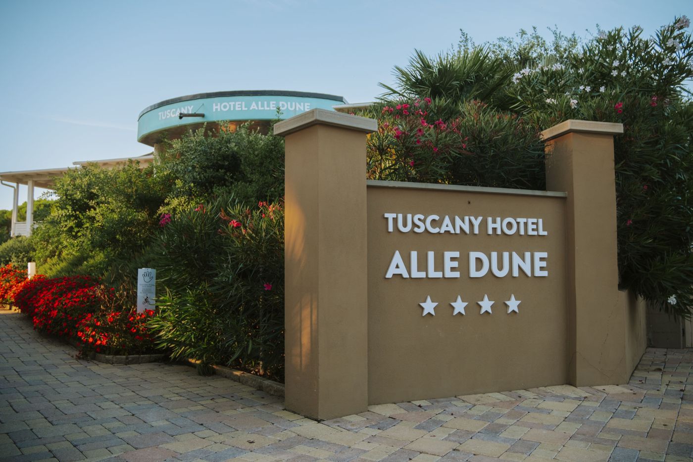Alle Dune