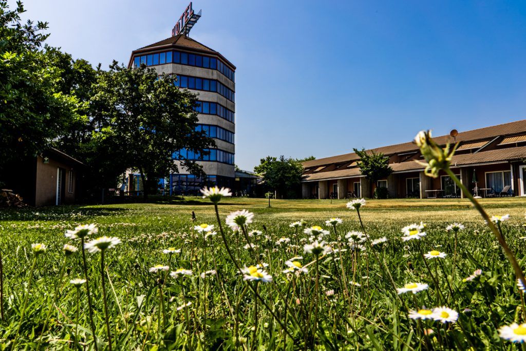 Business Hotel