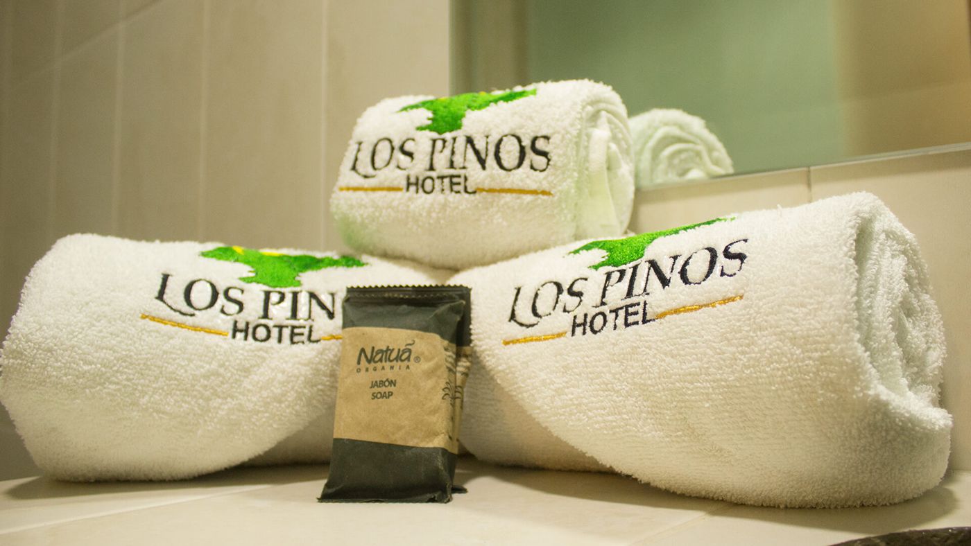 Los Pinos Hotel Chignahuapan