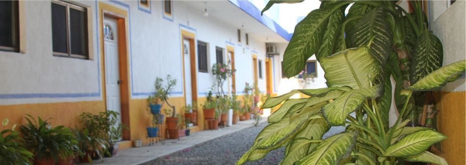 Hotel Sarabi