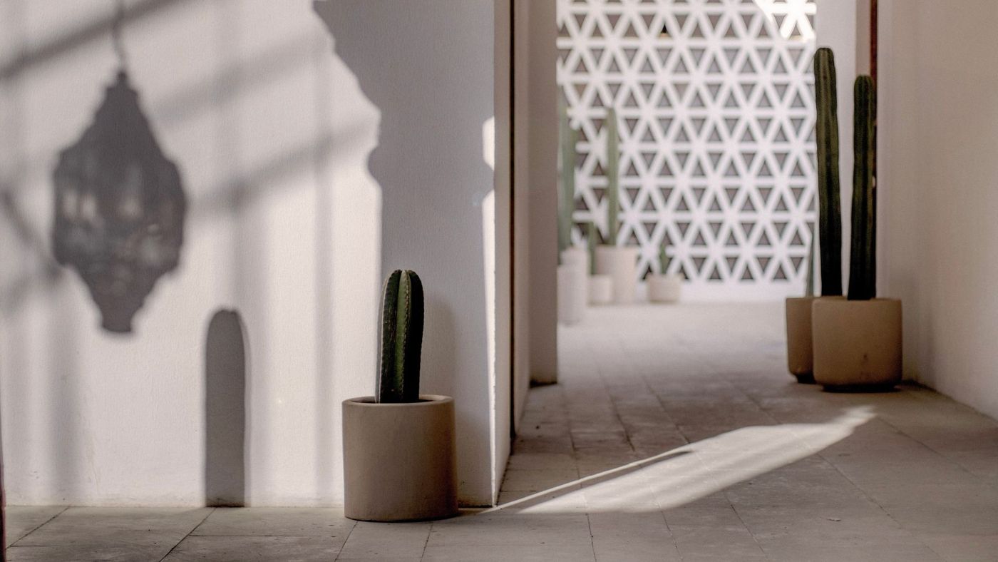Hotel Sin Nombre