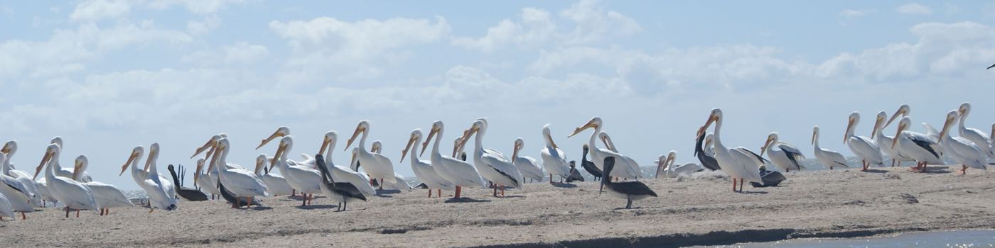 Hotel de México