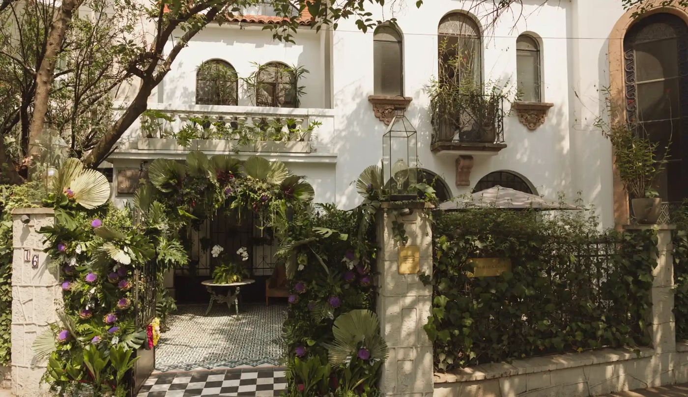 Orchid House Mexico City