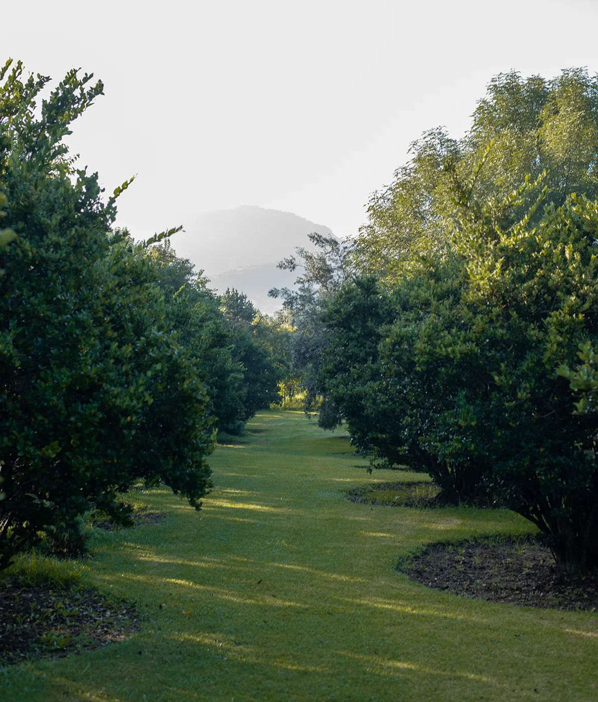 Rancho San Juan