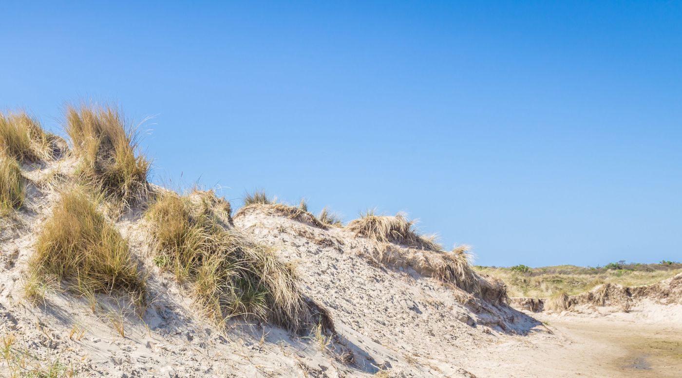 Waddengenot