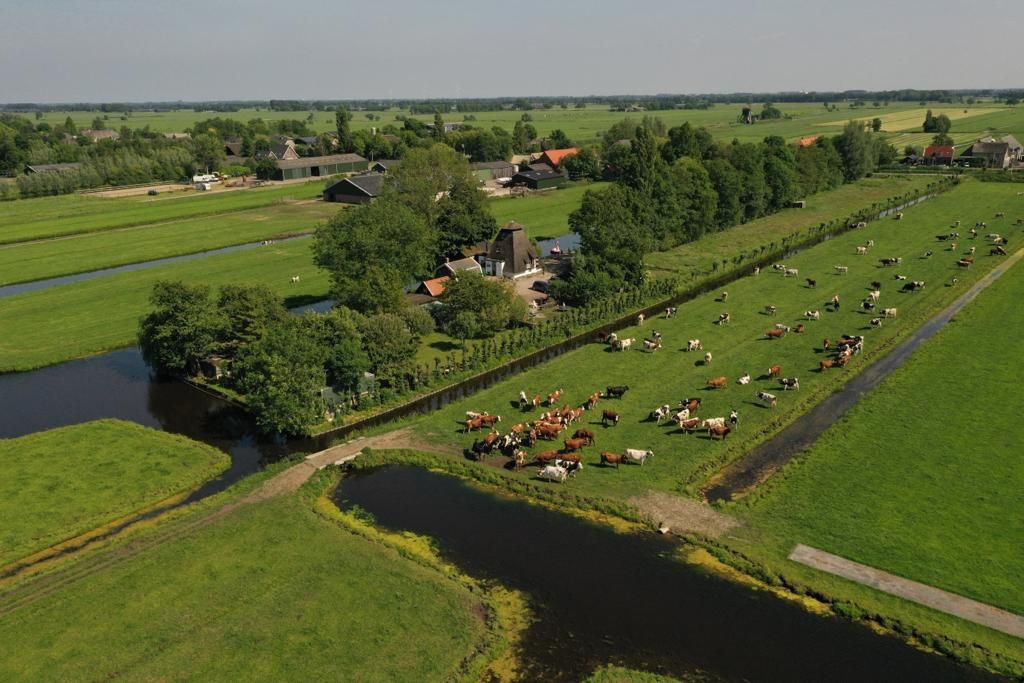 De Ouwe Meulen