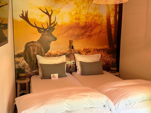 Bed en Breakfast Het Oelenest