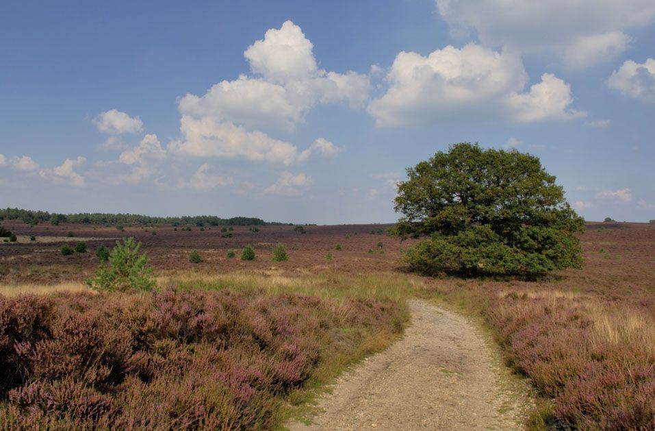 Hellendoorn