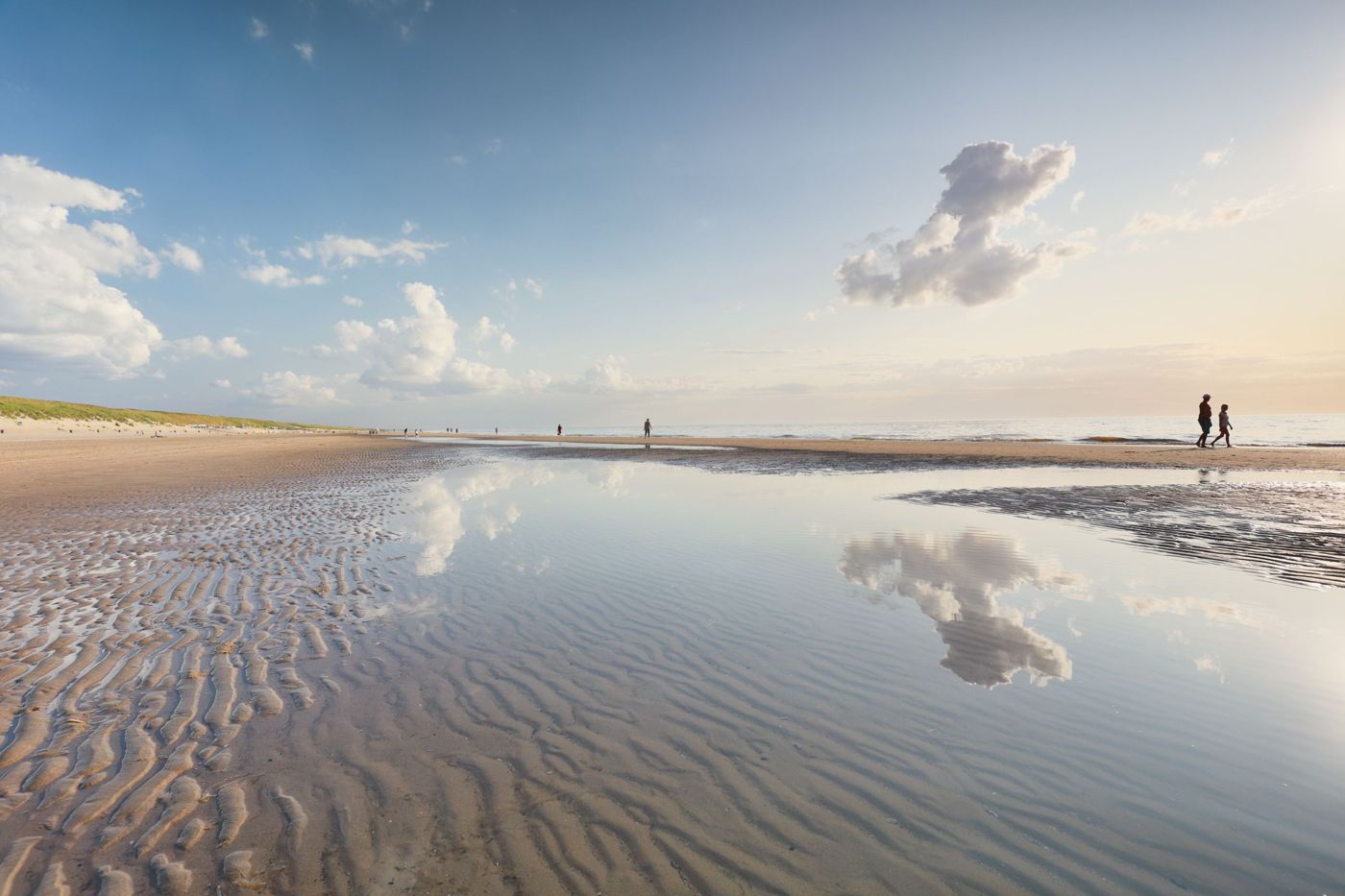 Homestay Harlingen