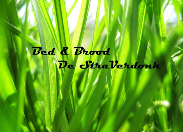 Bed & Brood De StraVerdonk